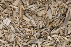 biomass boilers Pentewan